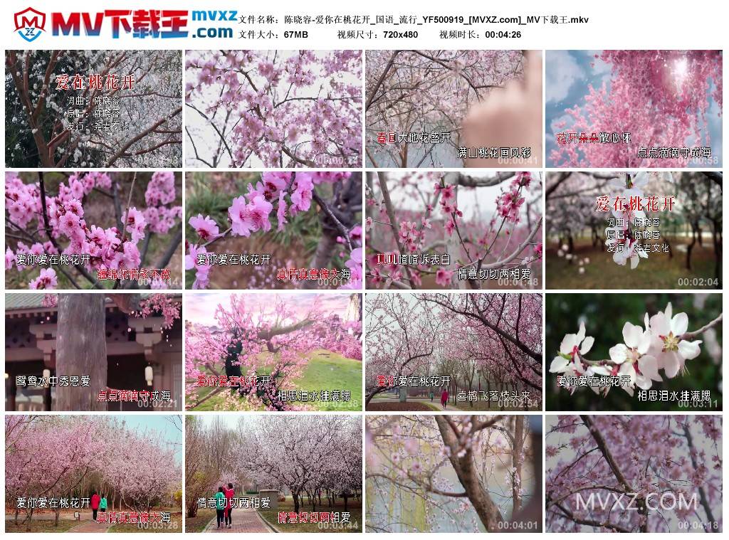 陈晓容-爱你在桃花开_国语_流行_YF500919